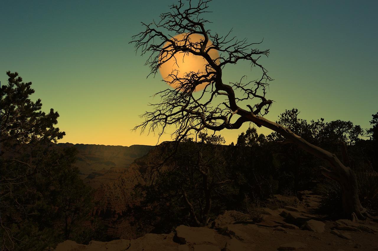  How To Darken Landscape Rocks 