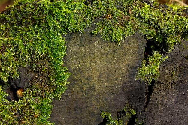 How To Glue Artificial Moss 