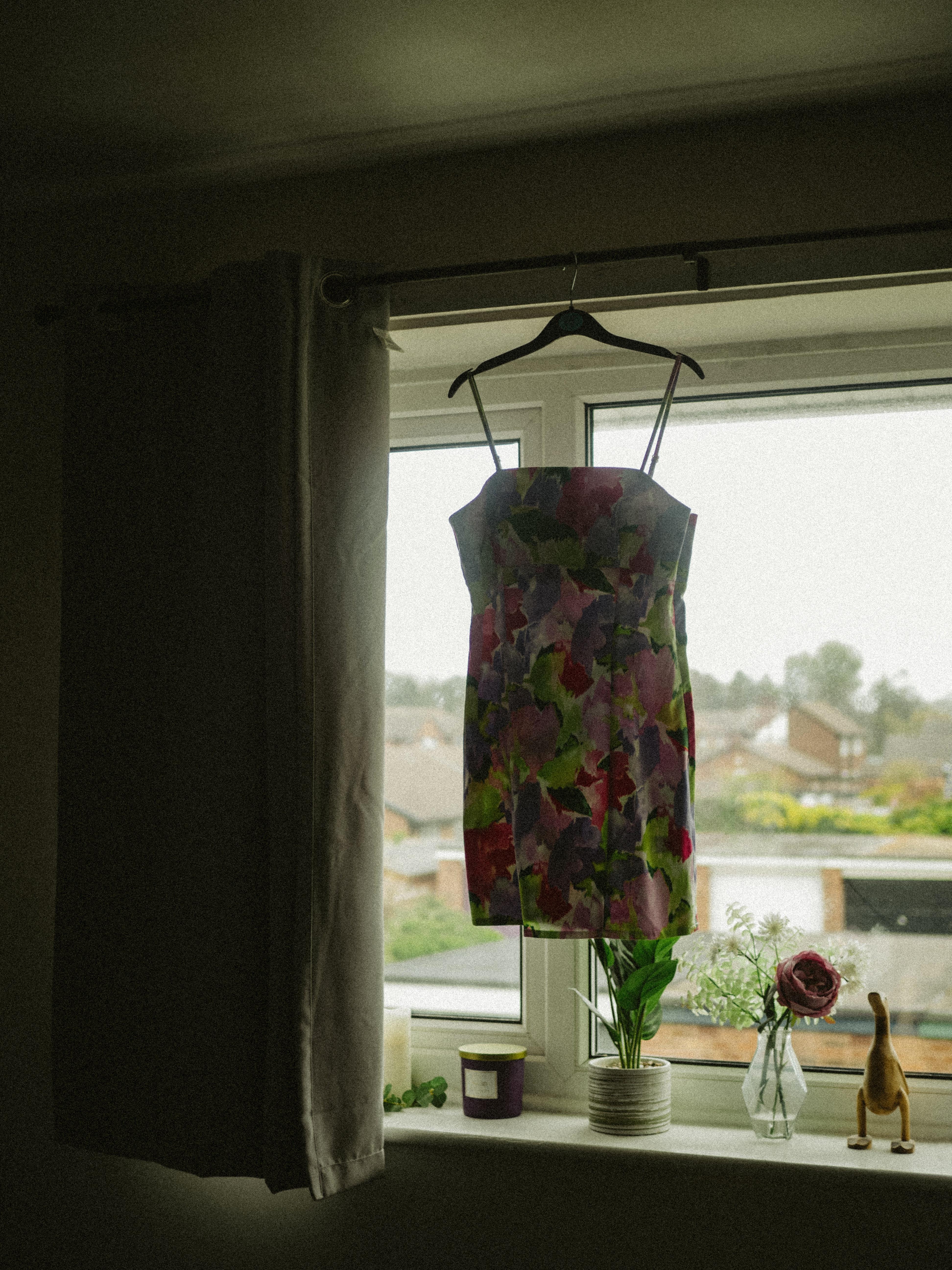  How To Hang Plants In Front Of Windows 