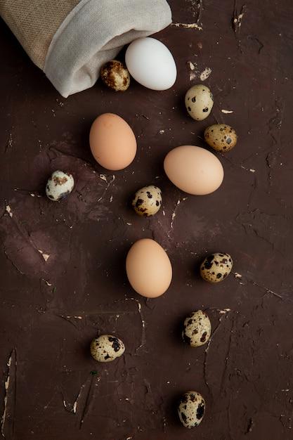  How To Keep Chickens From Spilling Food 