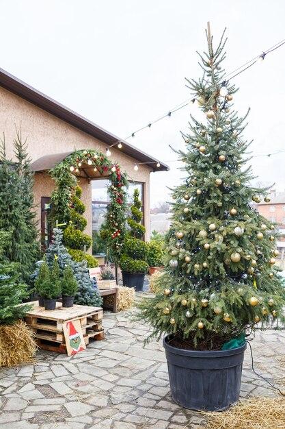 How To Keep Porch Trees From.Blowing Over 