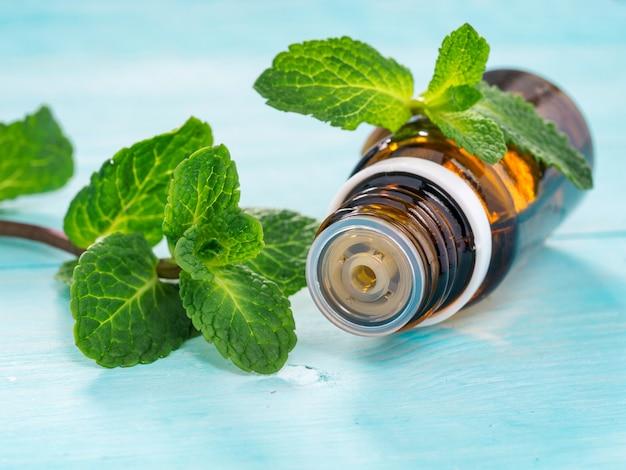  How To Make Mouse Repellent With Peppermint Oil 