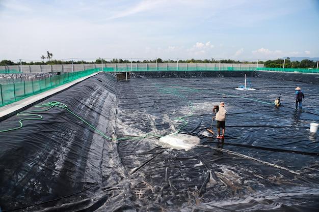  How To Remove Algae From Pond Liner 