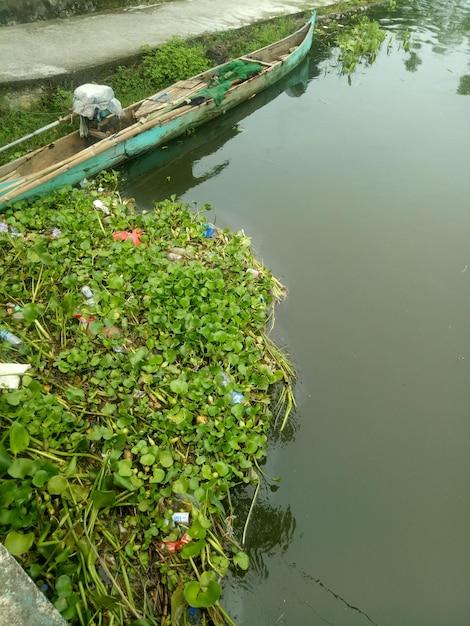  How To Remove Algae From Pond Liner 