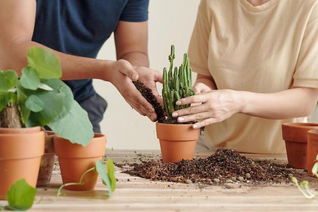  How To Store Soil In Apartment 