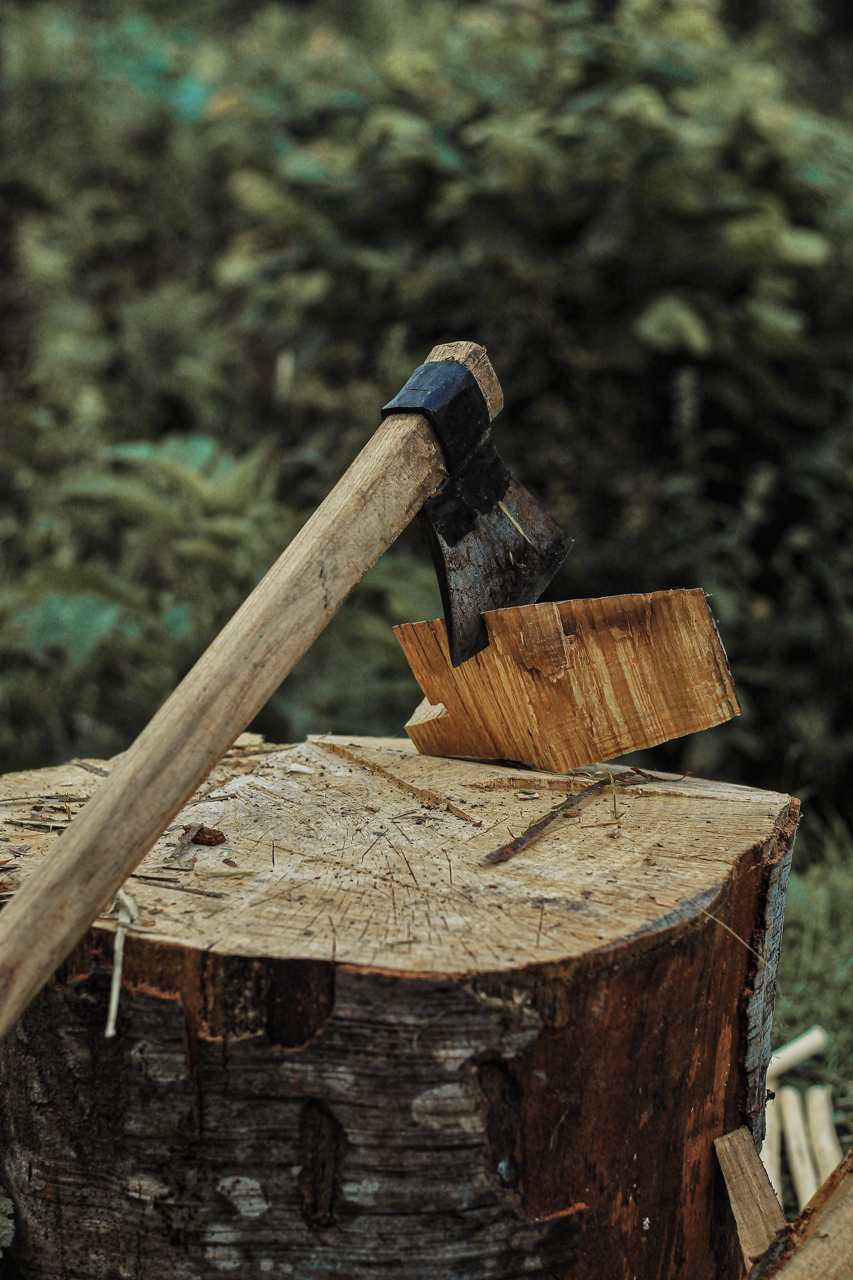  Is Chopping Wood A Physical Change 