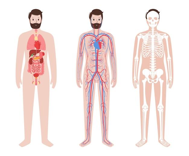  Is Human Body Organic Or Inorganic 