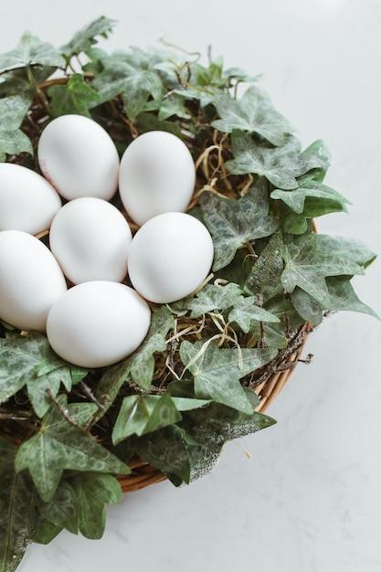 What Chickens Lay The Best Tasting Eggs 