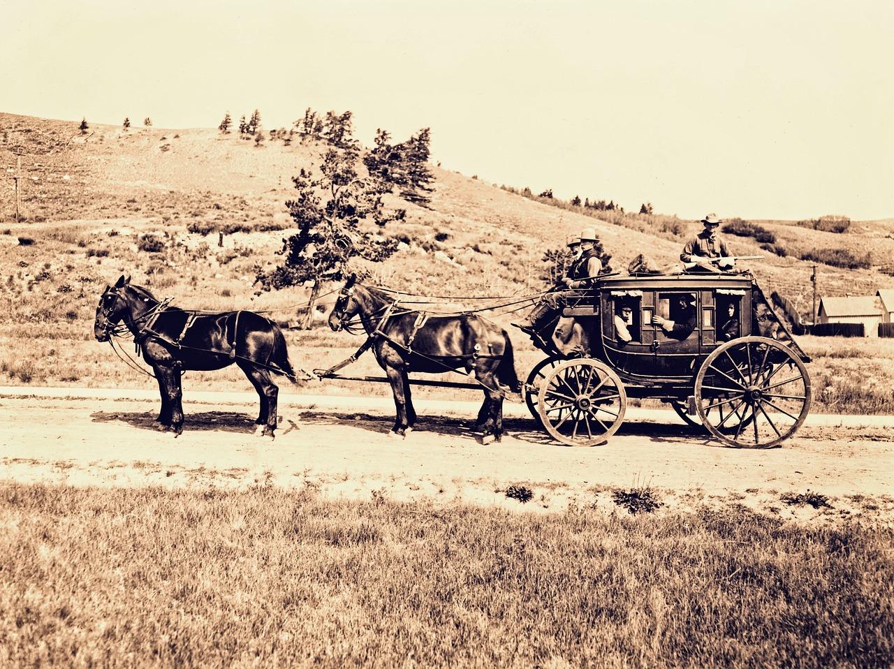 What kind of horses pull the Wells Fargo stagecoach? 