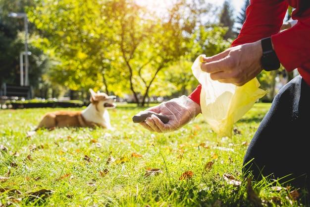 What happens if you dont pick up dog poop? 