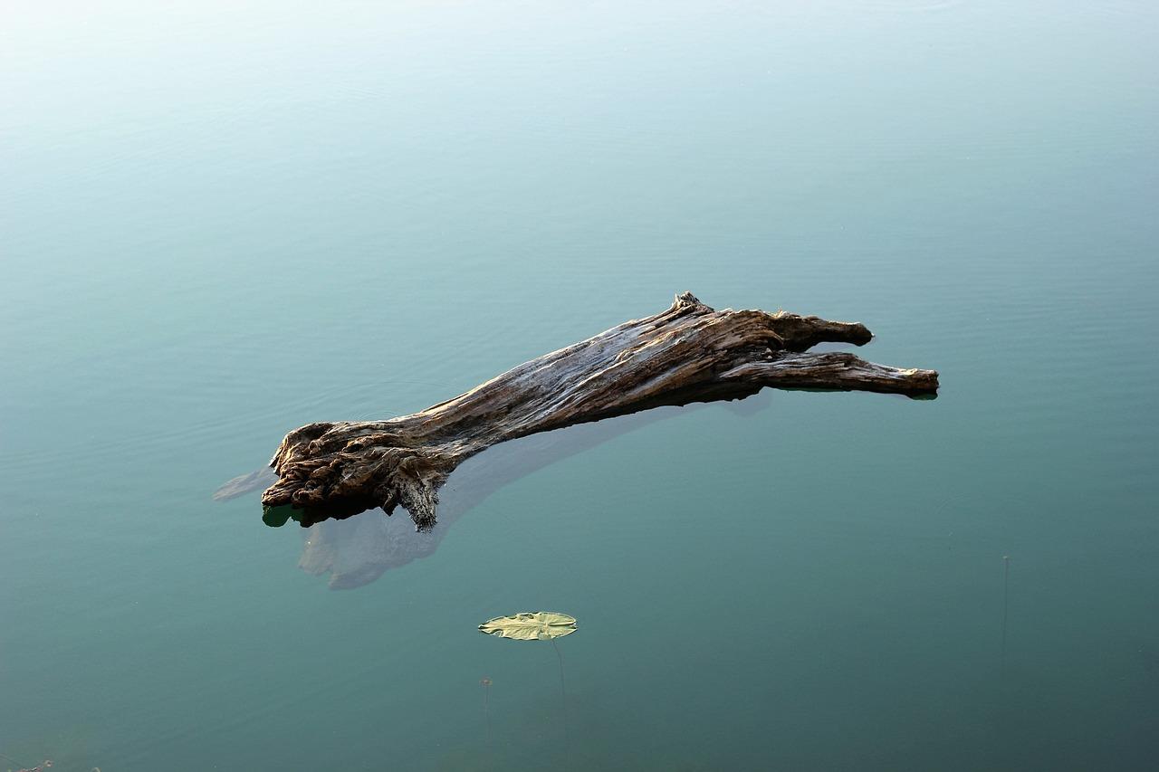  What Happens When Wood Absorbs Water 