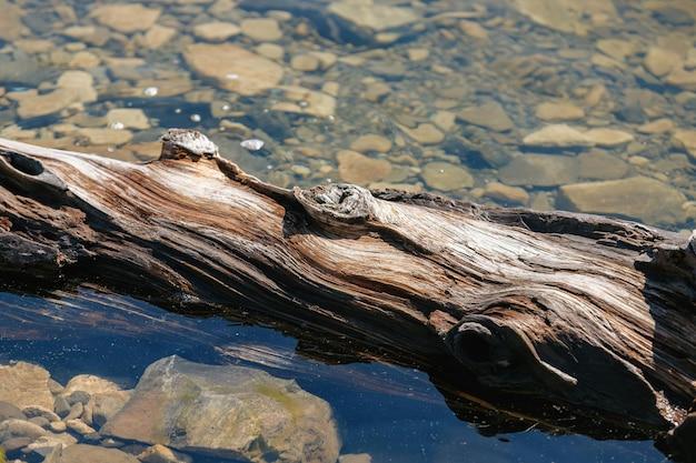  What Happens When Wood Absorbs Water 