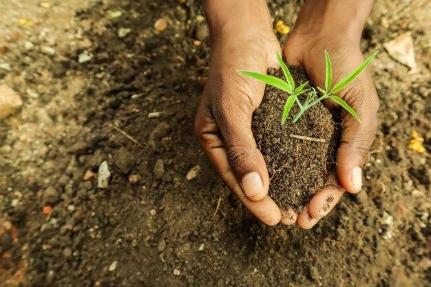 What Is The Smell Of Clay Soil 