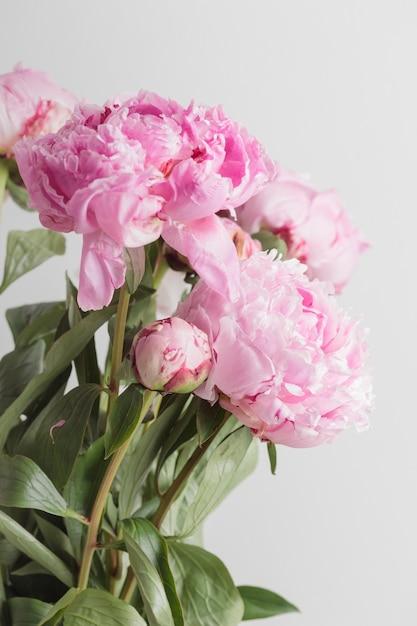 When Are Peonies In Season In California 