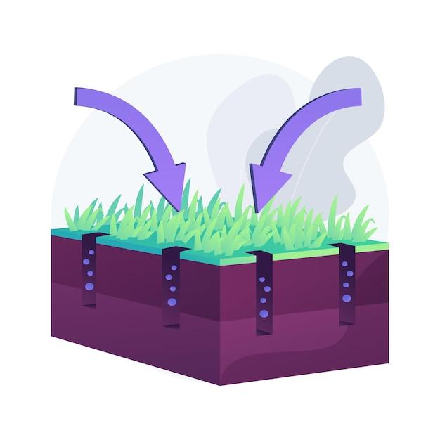 When To Fertilize After Overseeding 