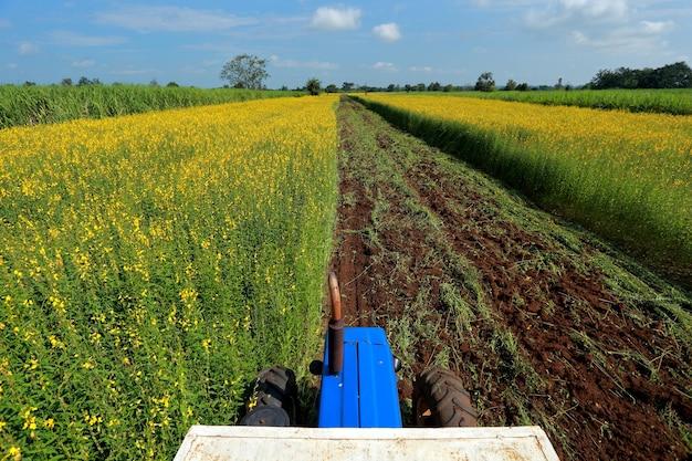  Which Plants Do Not Like Manure 